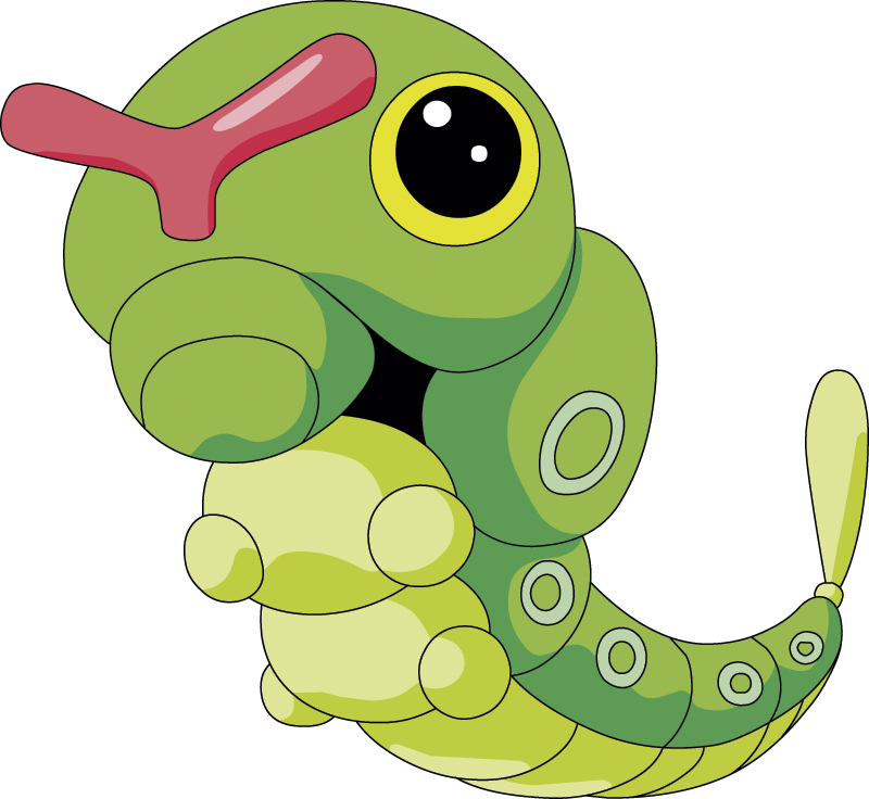 Top Catch